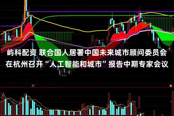 屿科配资 联合国人居署中国未来城市顾问委员会在杭州召开“人工智能和城市”报告中期专家会议