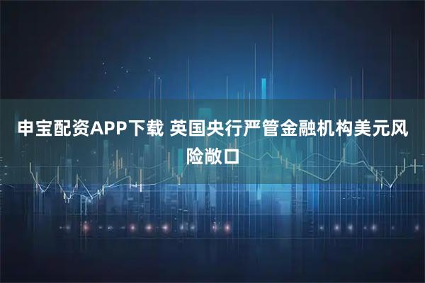 申宝配资APP下载 英国央行严管金融机构美元风险敞口