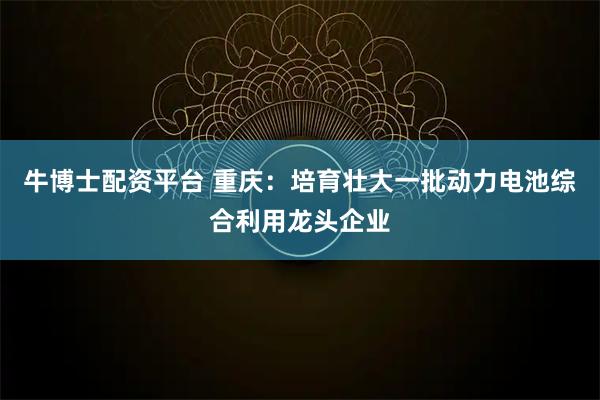 牛博士配资平台 重庆：培育壮大一批动力电池综合利用龙头企业