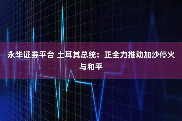 永华证券平台 土耳其总统:正全力推动加沙停火与和平