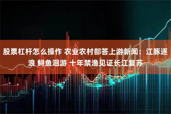 股票杠杆怎么操作 农业农村部答上游新闻：江豚逐浪 鲟鱼洄游 十年禁渔见证长江复苏