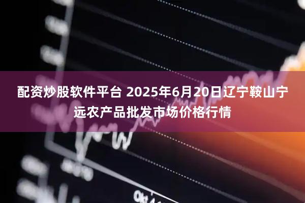配资炒股软件平台 2025年6月20日辽宁鞍山宁远农产品批发市场价格行情
